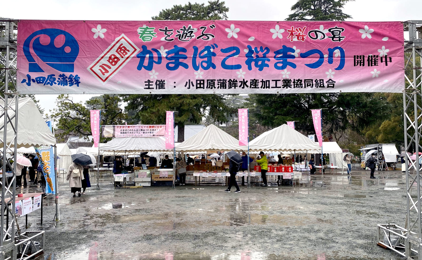 第29回小田原かまぼこ桜まつり