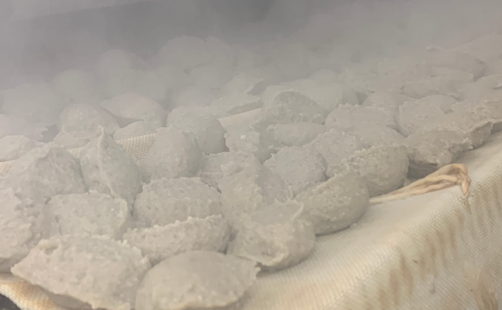 いわしつみれ作成場