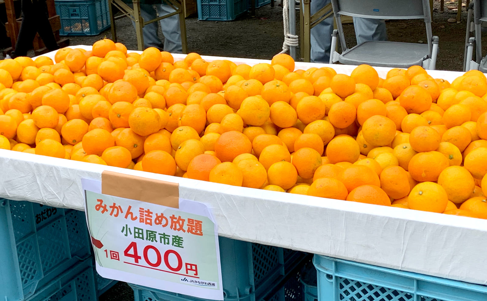 みかん詰め放題